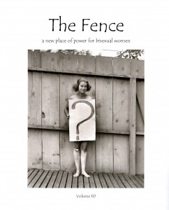 The Fence issue 10