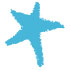 Stonewall star logo
