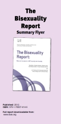Bi Report Summary flyer